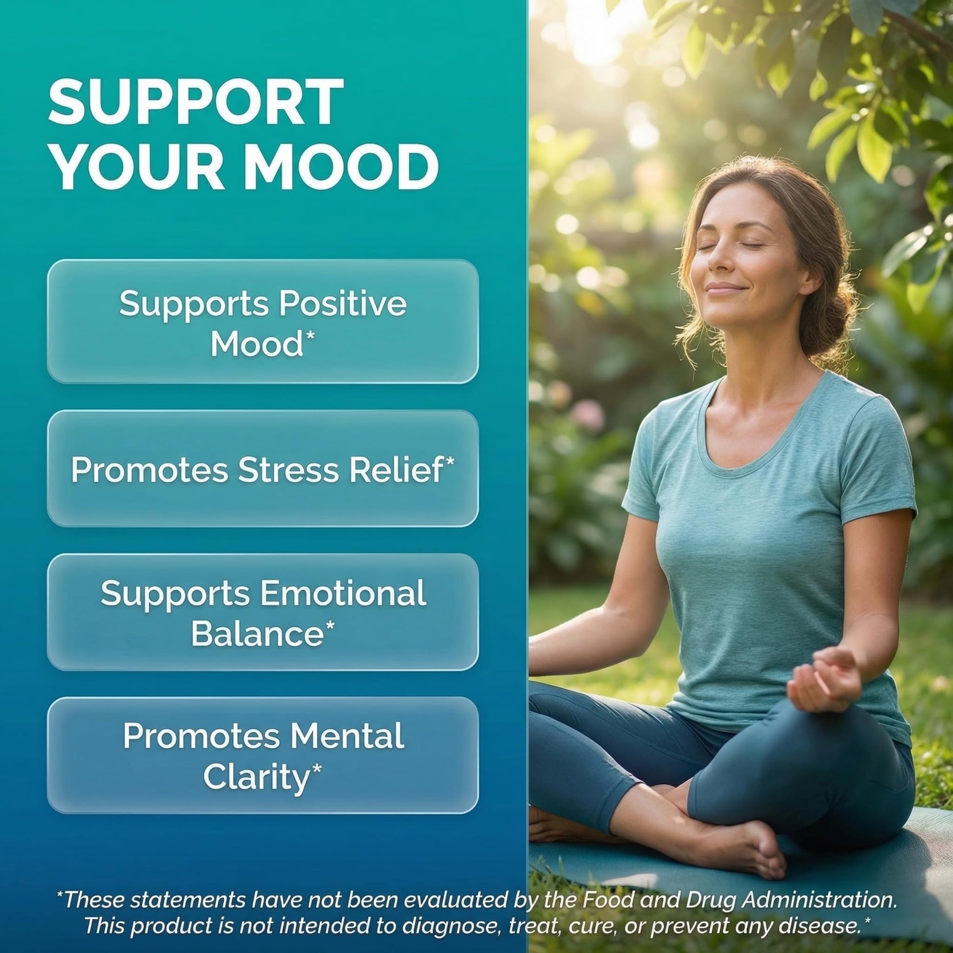 Clean Nutraceuticals St Johns Wort Rhodiola Rosea Holy Basil Ashwagandha - Mood Support for Women and Men with Vitamin C & Black Pepper Extract - 90 Caps Clean Nutraceuticals buy australia supplements