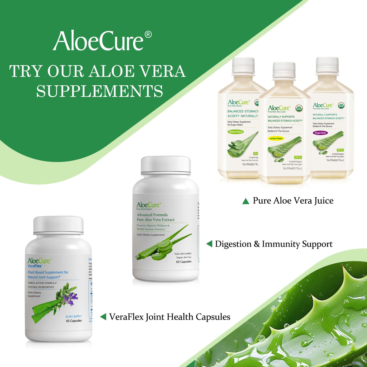 AloeCure Daily Probiotics 10 Billion CFU for Digestive Support 8 Strains, 6 Prebiotics & Enzymes - Digestive Supplement with Bromelain for Women & Men AloeCure