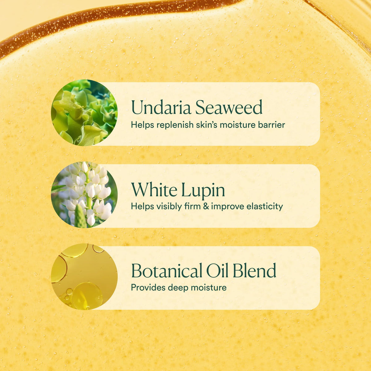 OSEA Undaria Algae Body Oil, Visibly Firming, Deeply Moisturizing, 5 oz OSEA