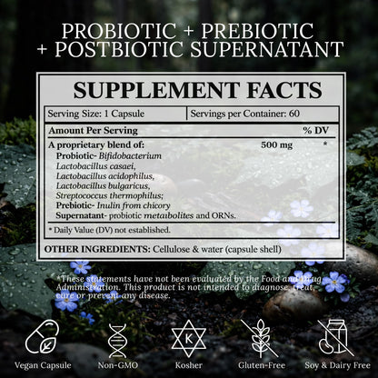 BioImmersion Supernatant Synbiotic - Prebiotic Probiotic Postbiotic - Eases Digestive Discomfort, Gut Imbalance & Yeast Overgrowth - Immune & Microbiome Support BioImmersion