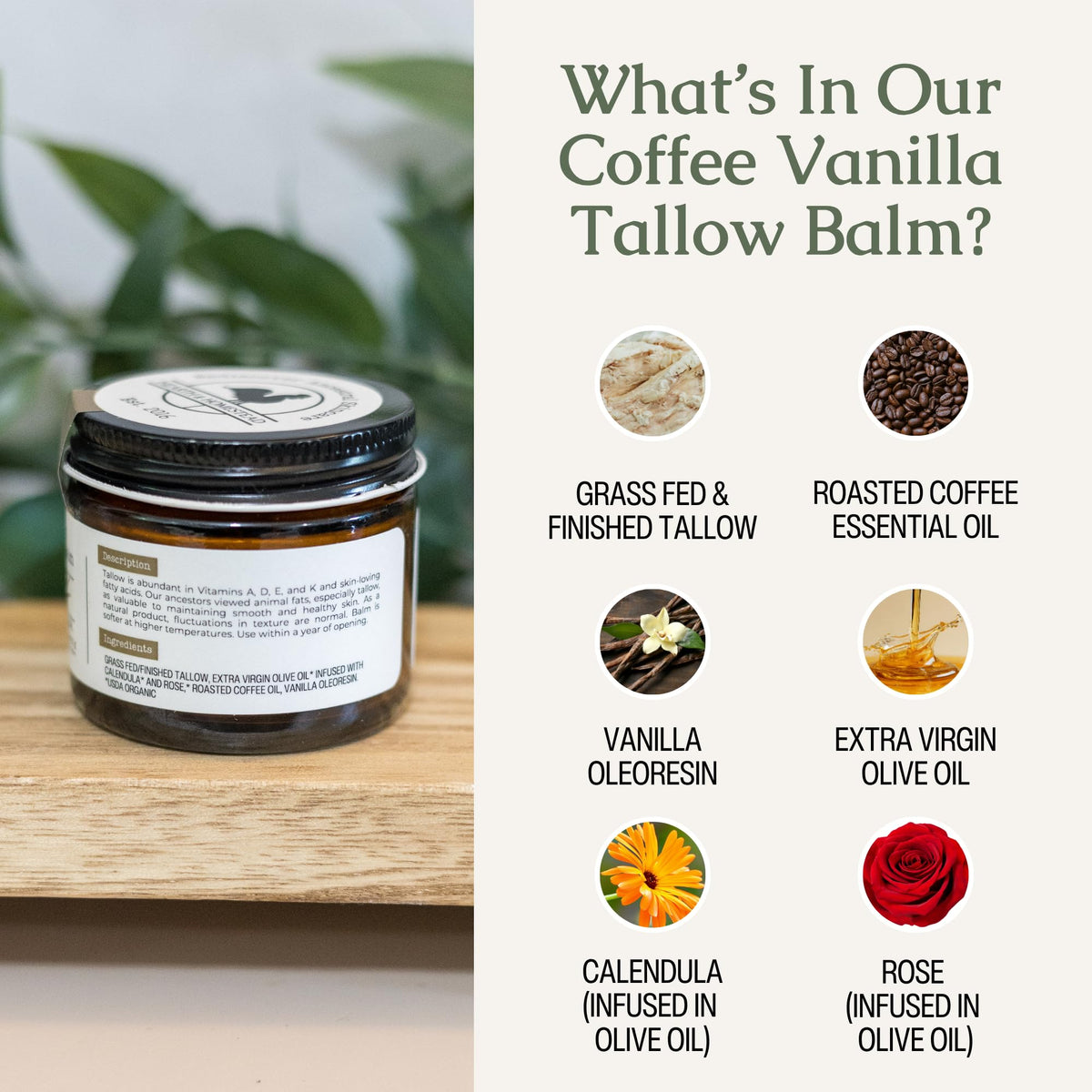 Hearth & Homestead Whipped Beef Tallow for Skin & Face Coffee Vanilla 1.3oz Hearth and Homestead
