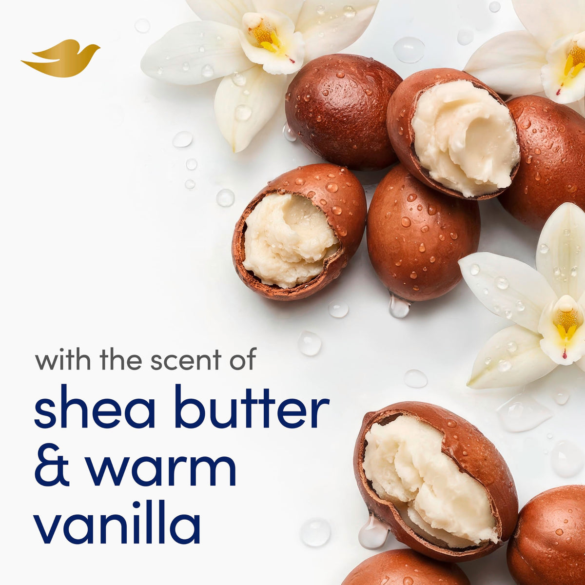 Dove Shea Butter Beauty Bar Soap 8 Count, Cleanser, 3.75 oz I beauty bar Dove