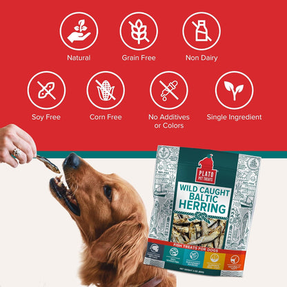 Plato Pet Treats Fish Dog Treats - Air-Dried, Single Ingredient Pet Treat - Omega 3 & 6 Fatty Acids to Support Skin and Coat - 100% Whole Fish - Wild Caught Baltic Herring - 3oz - 2 Pack Gsupps Australia