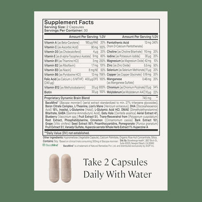 Stonehenge Health Dynamic Brain + Dynamic Turmeric Bundle Supports: Memory Acquisition, Retention, & Recall