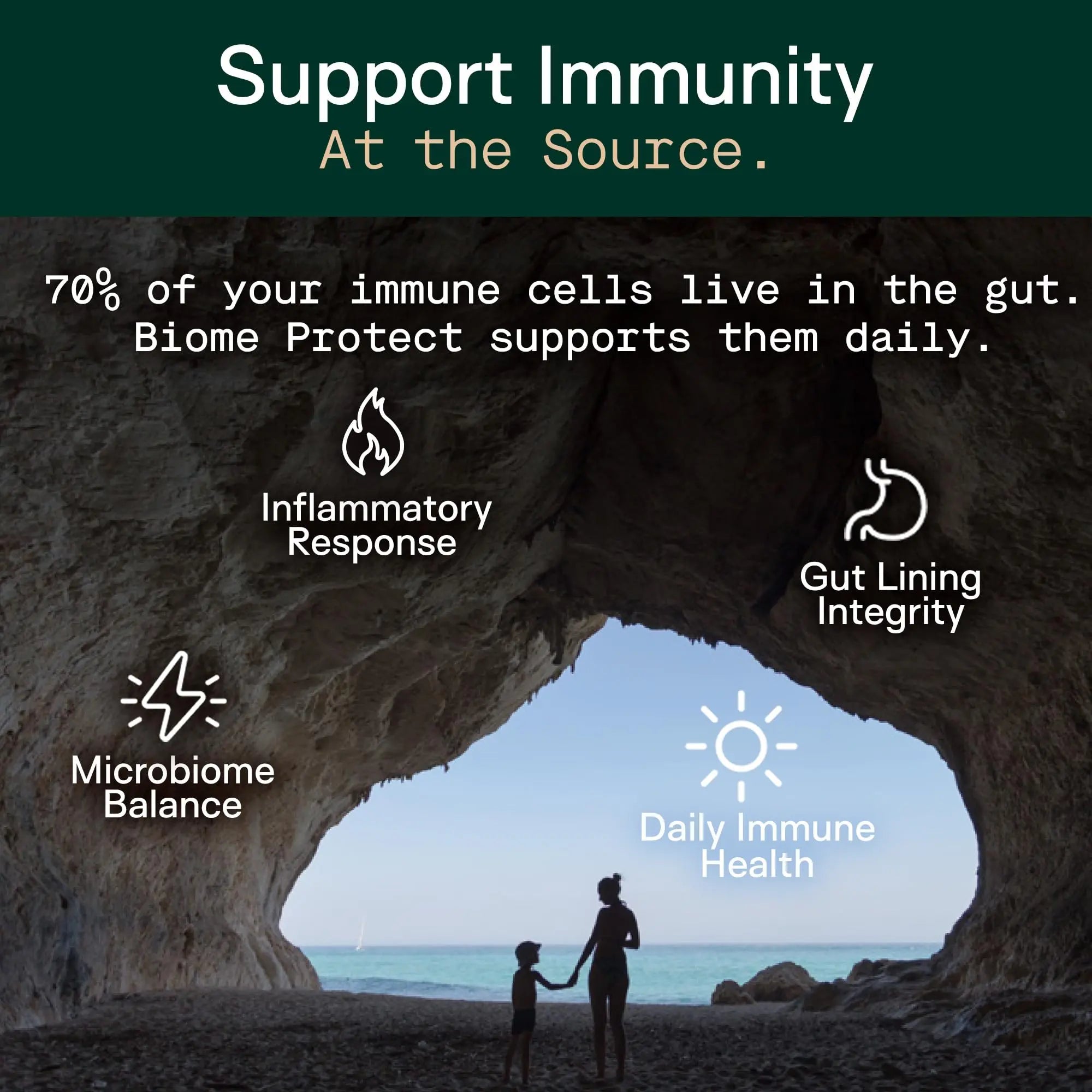 Adapt Naturals 4-in-1 Biome Protect Prebiotics, Probiotics Supplement Postbiotics & Polyphenols for Microbiome, Gut Health & Defense for Women & Men, 30 Day Supply ADAPT NATURALS BY CHRIS KRESSER buy australia supplements