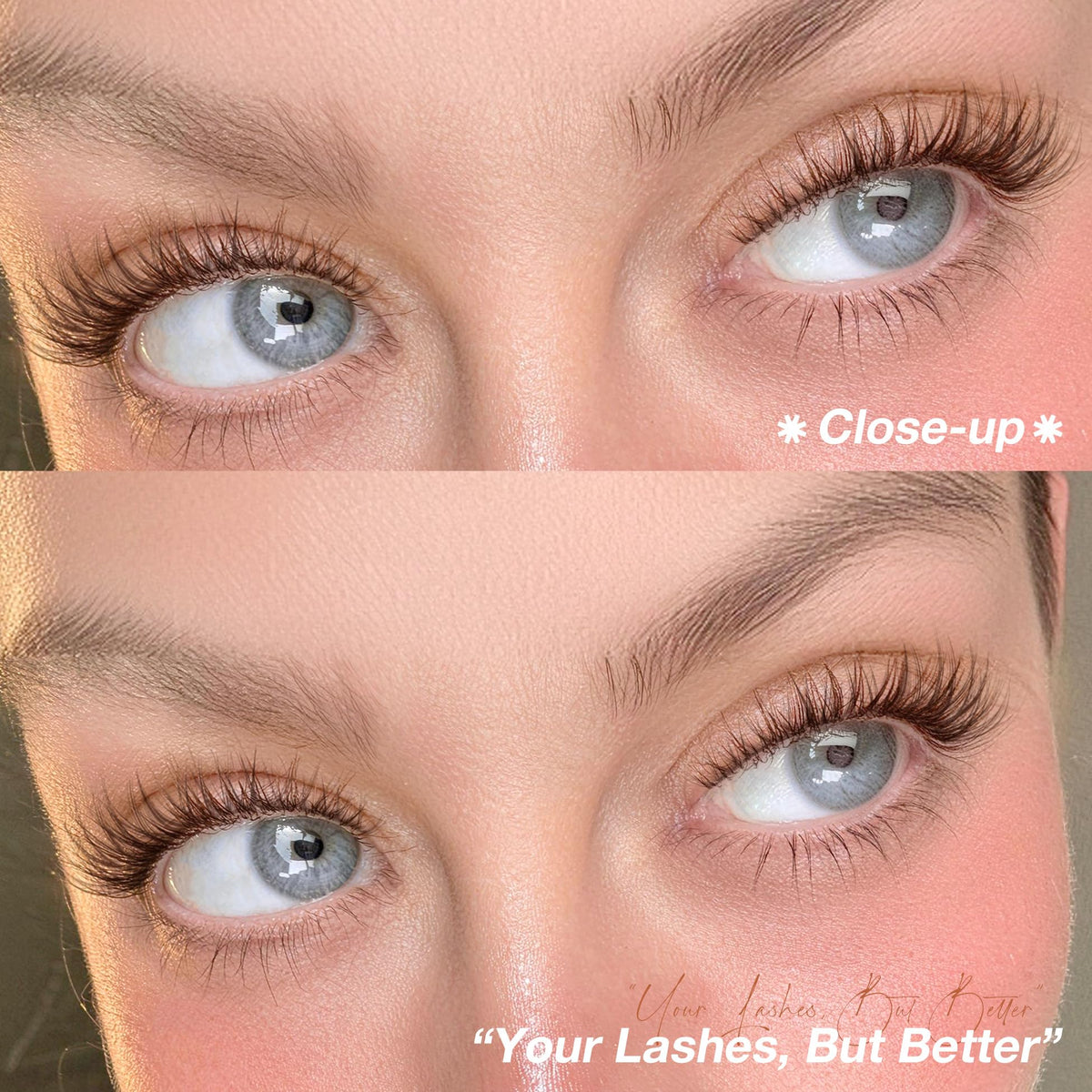 Brown Lash Clusters 8-14MM Wispy Natural Eyelash Extensions 216Pcs Short Dark Brown Cluster Lash Extensions C Curve Brown Band For Daily Wear, Natural Enhancement, Easy to Apply (Flit) Mavphnee