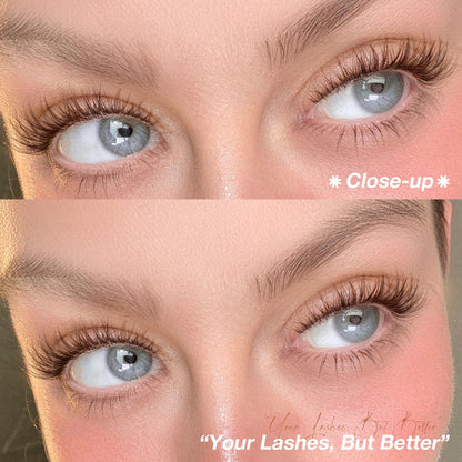 Brown Lash Clusters 8-14MM Wispy Natural Eyelash Extensions 216Pcs Short Dark Brown Cluster Lash Extensions C Curve Brown Band For Daily Wear, Natural Enhancement, Easy to Apply (Flit) Mavphnee