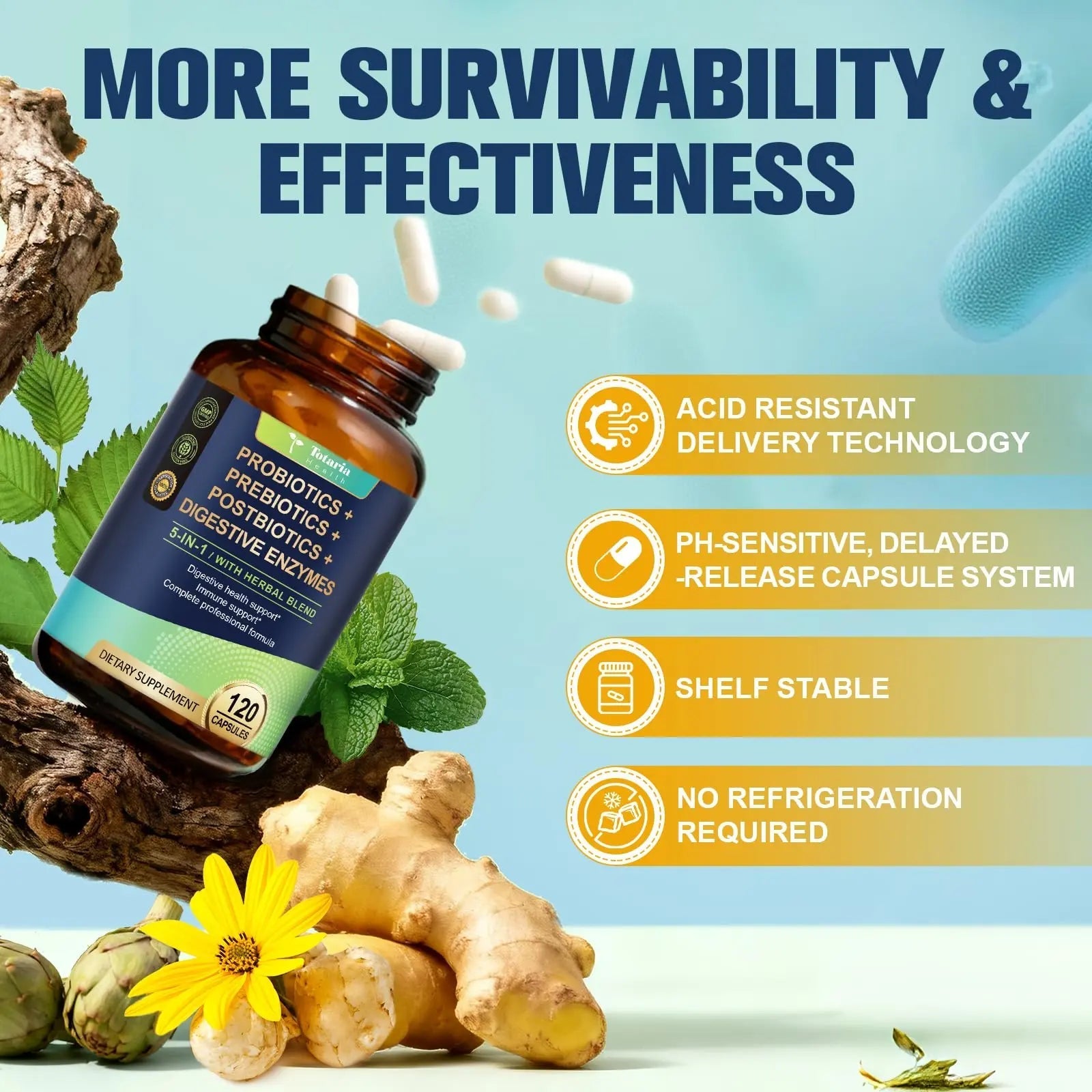 Totaria (2 Packs) 5-in-1 Probiotic Prebiotic & Postbiotic for Women Men, 60 Billion CFU 24 Strains w/Digestive Enzymes, Slippery Elm, Daily Complete Gut Health, Digestive & Immune Support Totaria buy australia supplements