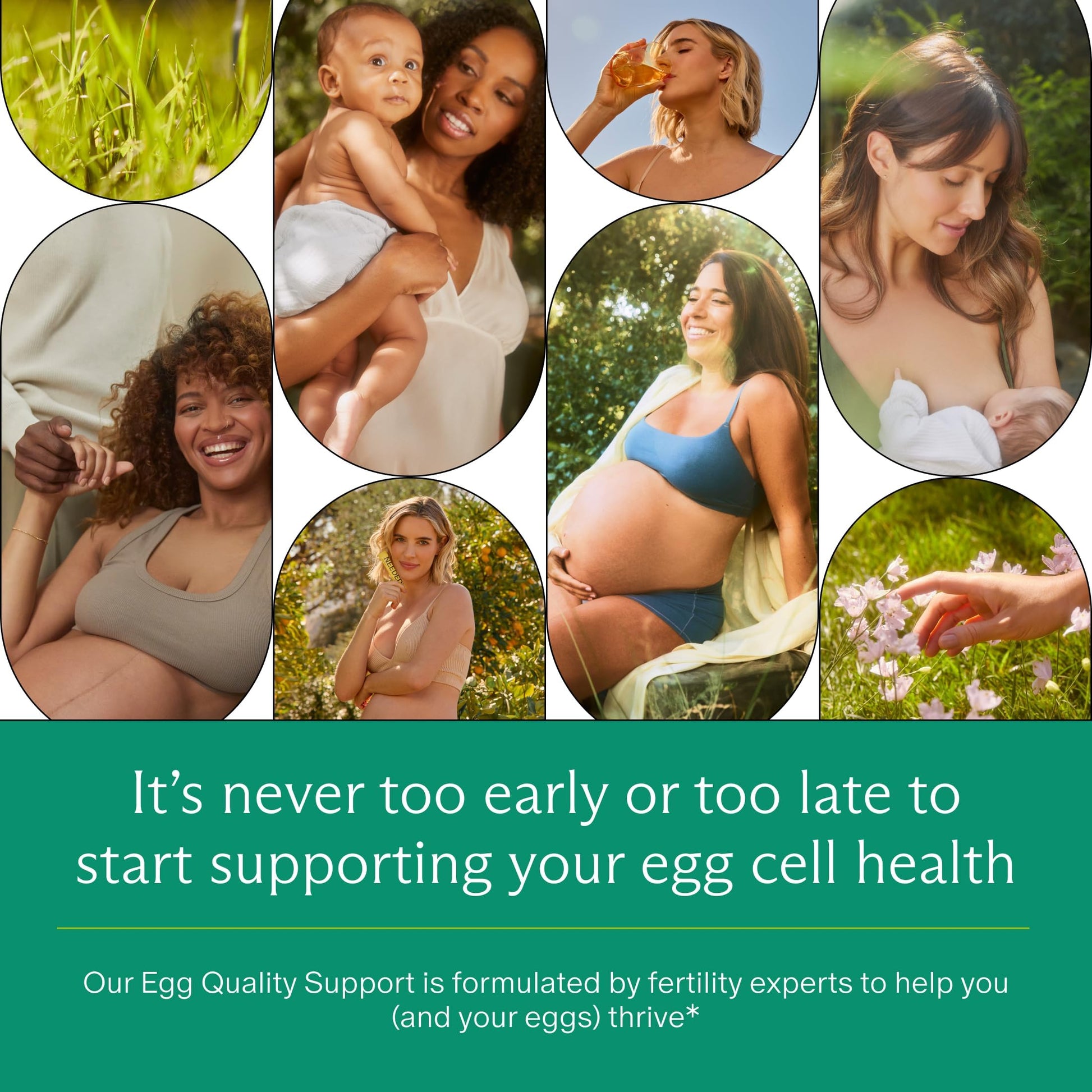 Needed. Egg Quality Support - Optimally Formulated Antioxidants Supplement for Egg Quality - Fertility Support - Fertility Supplement for Women Needed. buy australia supplements
