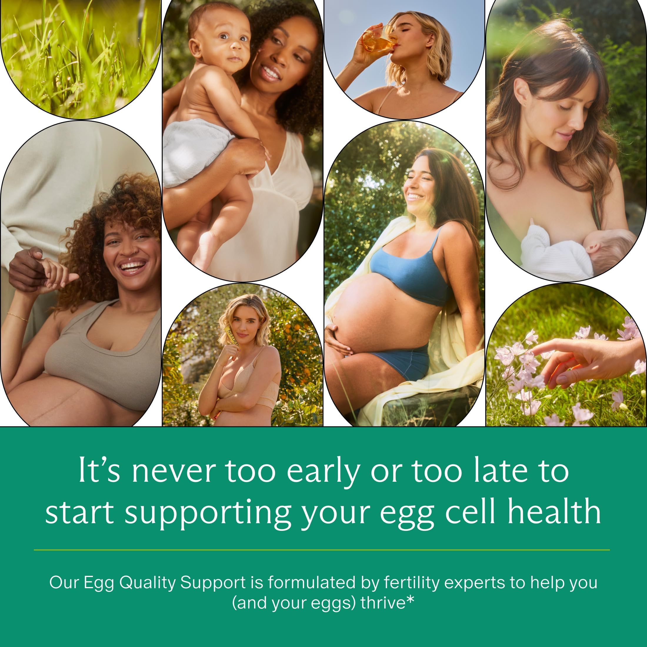 Needed. Egg Quality Support - Optimally Formulated Antioxidants Supplement for Egg Quality - Fertility Support - Fertility Supplement for Women Needed. buy australia supplements