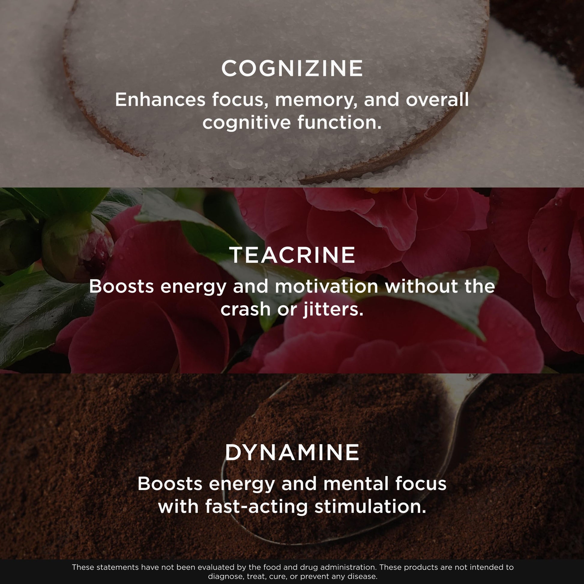 Genius Gamer, Gaming Focus Supplement, 80 Pills - Elite Nootropic Performance Booster - Boost Brain & Mental Clarity, Reaction Time & Concentration - Blue Light Support with Lutemax The Genius Brand buy australia supplements