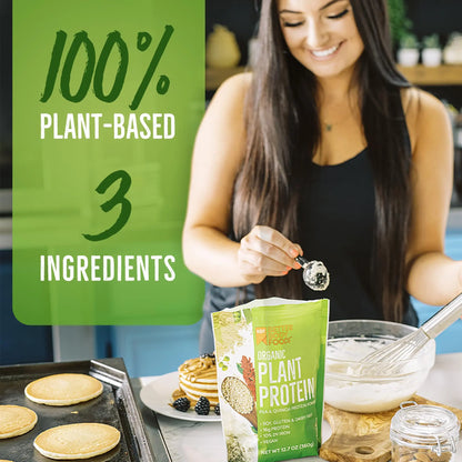 BetterBody Foods Organic Plant Based Protein Powder, 16g of Protein 24% DV, Vegan, Low Net Carbs, Gluten Free, Dairy Free, No Sugar Added, Soy Free, Non-GMO, 12.7 Ounces BetterBody Foods