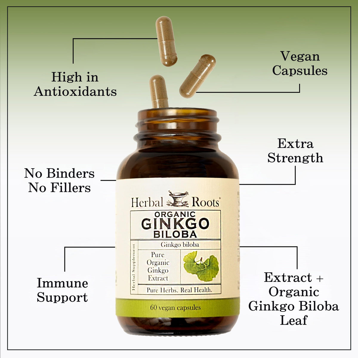 Herbal Roots Organic Ginkgo Biloba Made with Pure Organic Ginkgo Leaf and Extract - 60 Vegan Capsules Herbal Roots