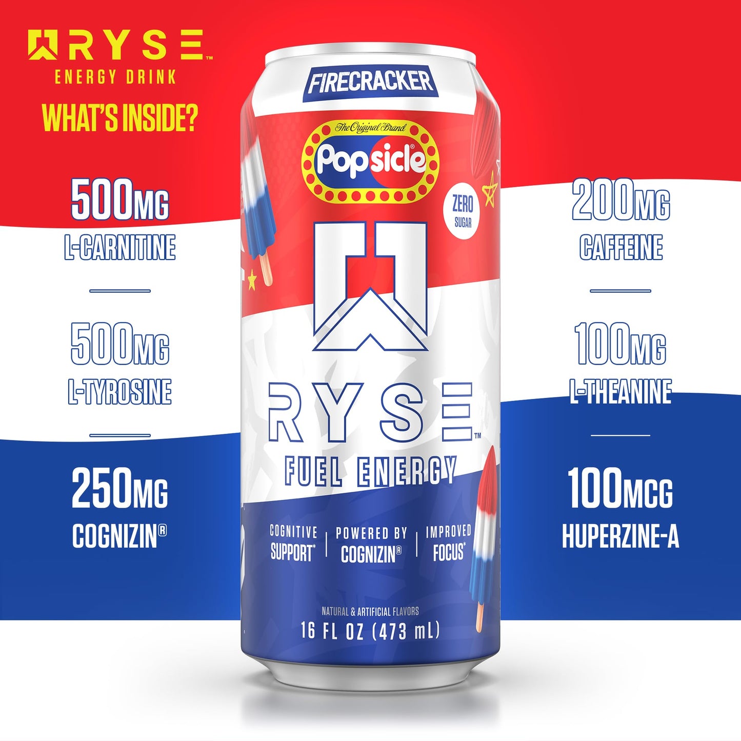 RYSE Fuel Energy Drink - Variety Pack - Sugar Free, Gluten Free & Vegan - 200mg Natural Caffeine, Taurine & Choline for Focus & Energy - No Artificial Colors - 16 fl oz Cans (12-Pack)