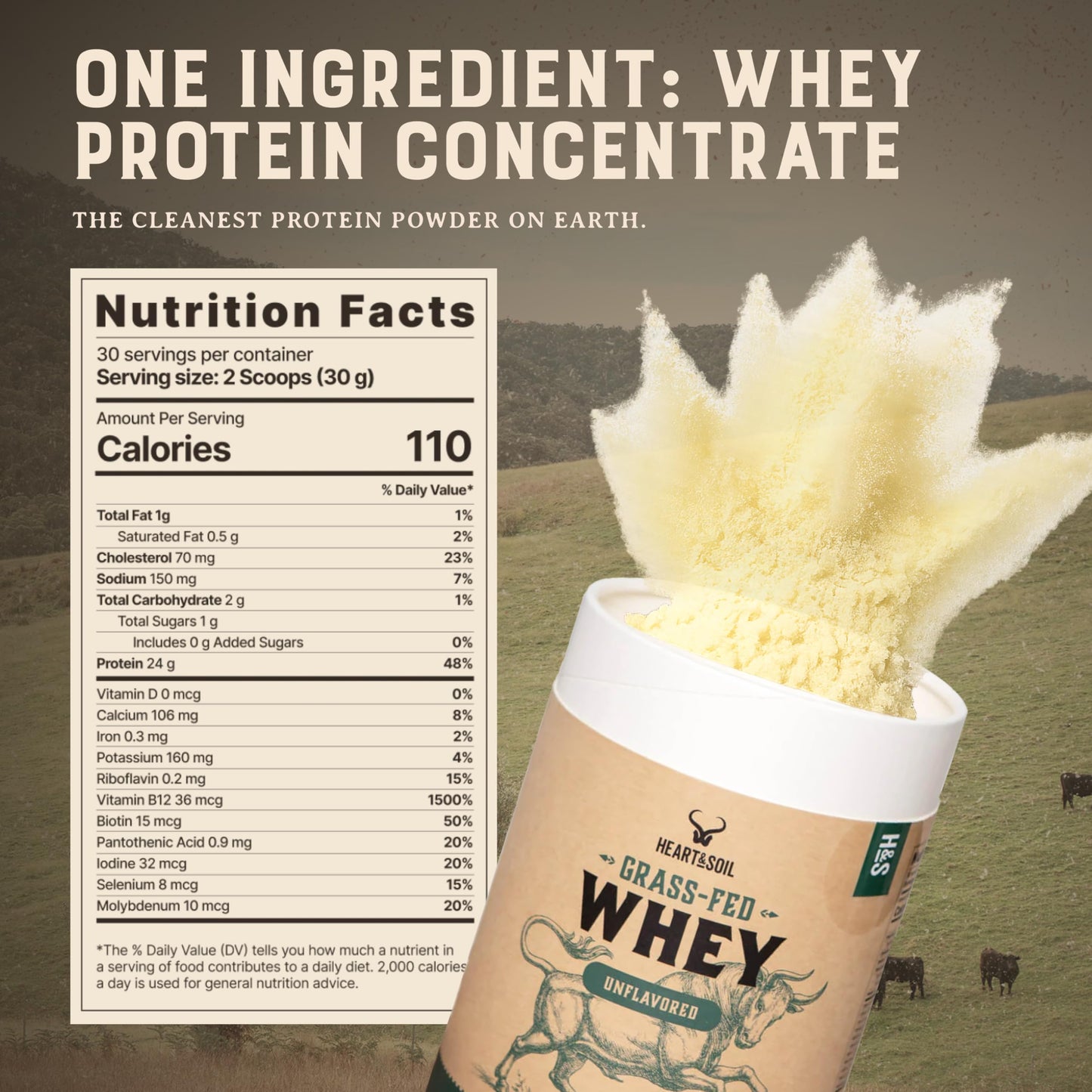 100% Grass Fed Whey Chocolate Protein Powder – Only Four Ingrediants, Absolutely Nothing Artificial – 25g of Grass Fed Whey Protein Per Serving – Clean Post Workout Recovery Powder – 2.84 lbs