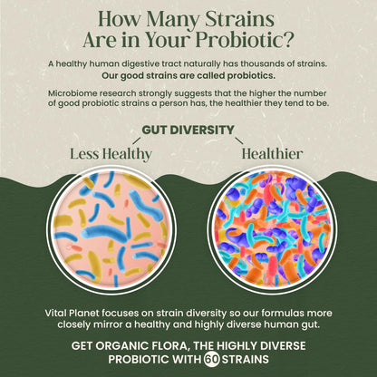 Vital Planet - Organic Flora Probiotics for Gut Health Balance, Shelf Stable Probiotic 30 Billion CFU, 60 Diverse Strains, Prebiotic Organic Mushroom Blend Vital Planet
