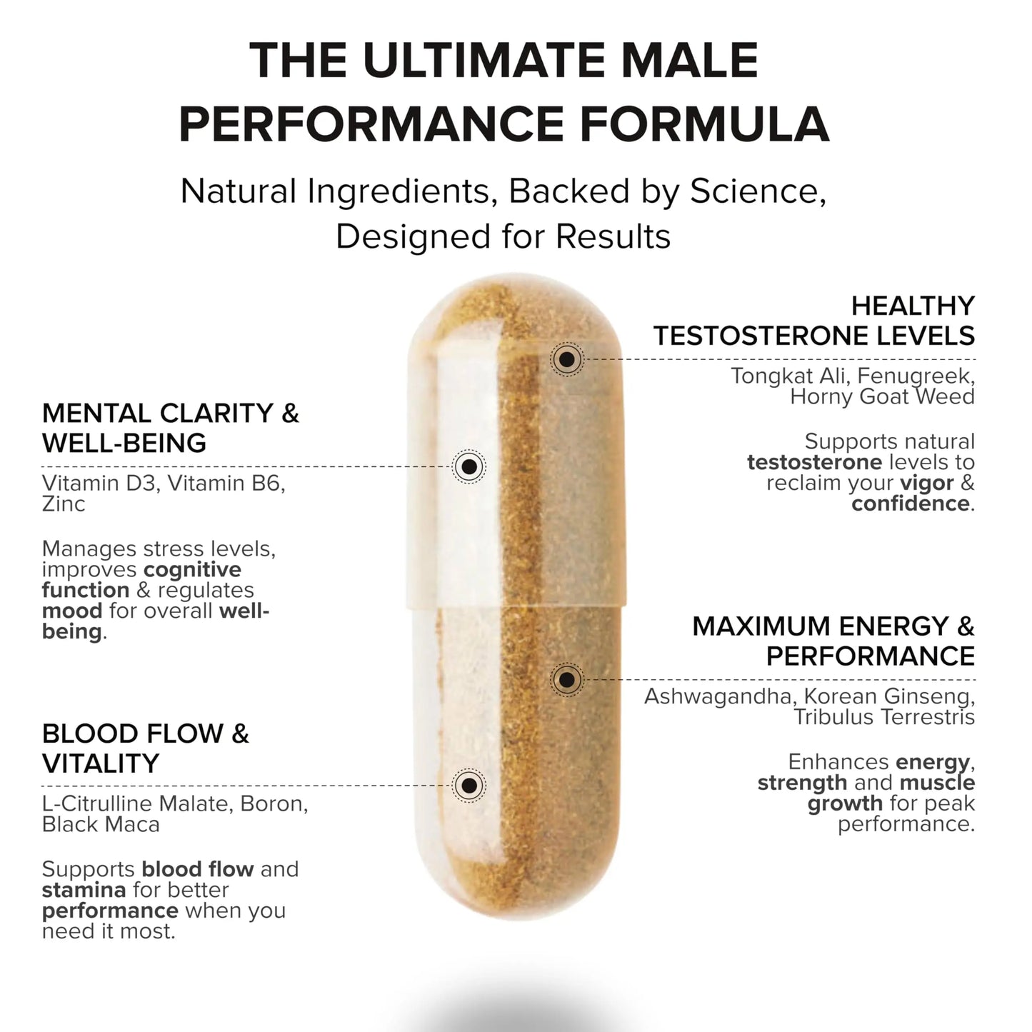 STRIVLABS Peak Potential 12-in-1  Support for Men – Fenugreek, Ashwagandha & Tongkat Ali – Natural Strength STRIVLABS