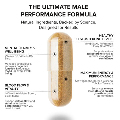 STRIVLABS Peak Potential 12-in-1  Support for Men – Fenugreek, Ashwagandha & Tongkat Ali – Natural Strength STRIVLABS