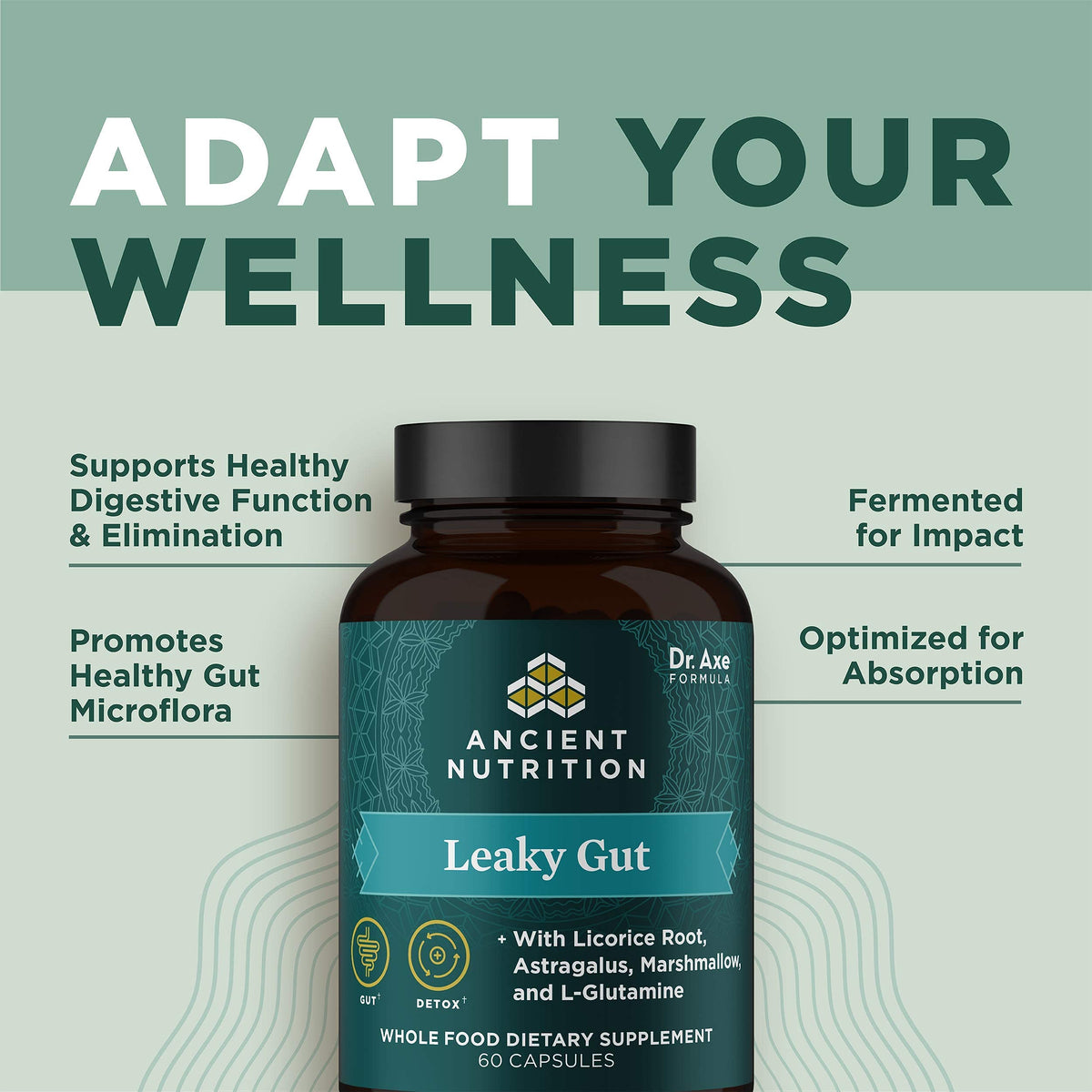 Ancient Nutrition Gut Health Supplement Leaky Gut Capsules, 60ctFormulated with Licorice Ancient Nutrition
