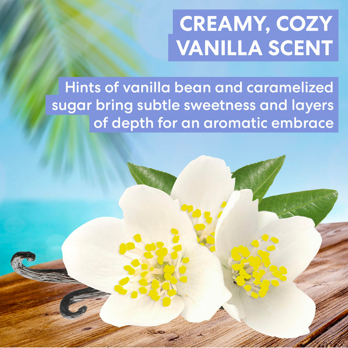 Palmer's Tahitian Vanilla Body Oil, Cocoa Butter Formula (6.5 Fl Oz) Palmer's