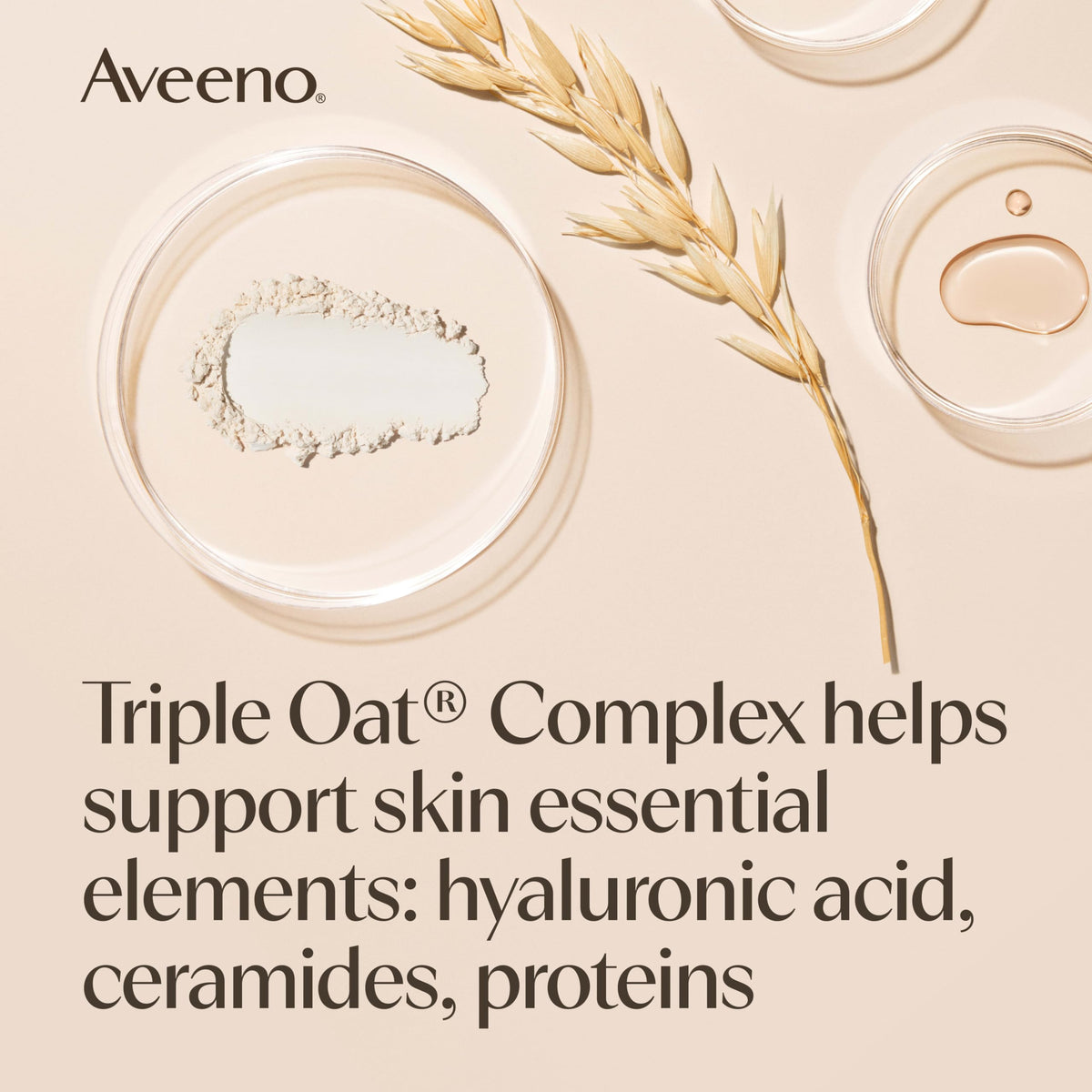 Aveeno Skin Relief Body Wash with Triple Oat Complex, Fragrance-Free, Gentle Daily Body Wash for Sensitive Skin Leaves Itchy, Dry Skin Feeling Soothed & Moisturized, Value Size 33 Fl Oz Aveeno