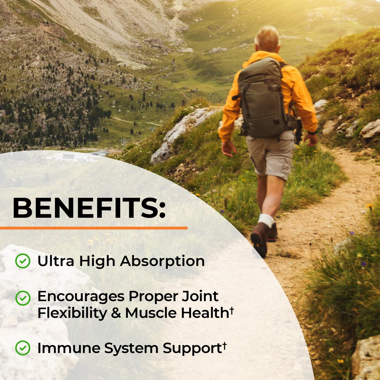 Turmeric Curcumin with Black Pepper Extract 1500mg - High Absorption Ultra Potent Turmeric Supplement with 95% Curcuminoids and BioPerine BioSchwartz