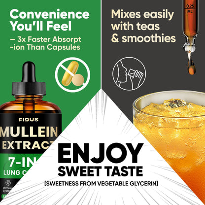 Mullein Drops for Lungs, 120 Servings - Mullein Leaf with 7 Herbs Echinacea, Oregano, Ginger, Elderberry, Marshmallow Root & Thyme - Lung Detox for Smokers Fidus
