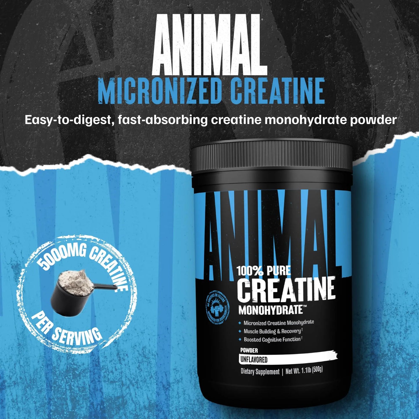 Animal Creatine Monohydrate Powder - Micronized Creatine for Women and Men, Supports Muscle Growth, Strength, Endurance, Recovery and ATP Production, Animal