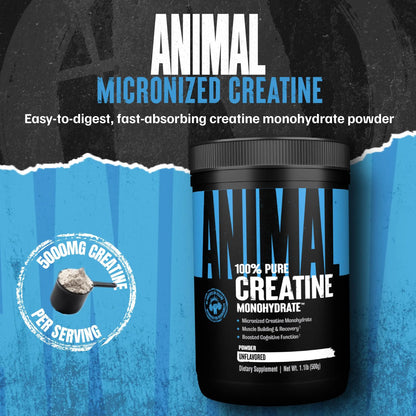 Animal Creatine Monohydrate Powder - Micronized Creatine for Women and Men, Supports Muscle Growth, Strength, Endurance, Recovery and ATP Production, Animal