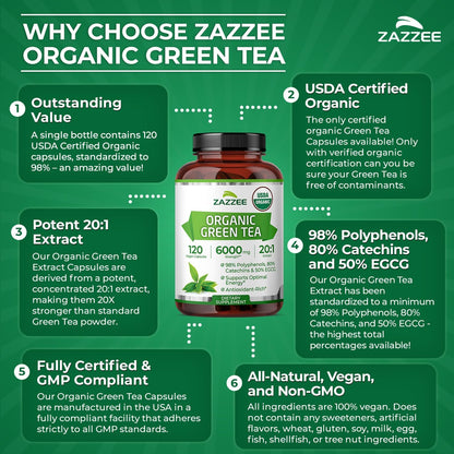 Zazzee USDA Organic Green Tea 20:1 Extract, 120 Vegan Capsules, 50% EGCG | 98% Polyphenols, 80% Catechins, 4 Month Supply, Antioxidant, Metabolism & Energy Support, Non-GMO, All-Natural, Made in USA Gsupps Australia