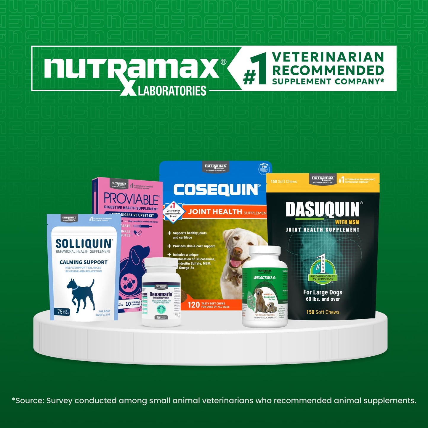 Nutramax Cobalequin B12 for Dogs, Oral Cobalamin Supplement with Folate, Vitamin B12 for Dogs Over 22 lbs., Supports GI Health, Chewable Tablets, 45 Count Nutramax Laboratories