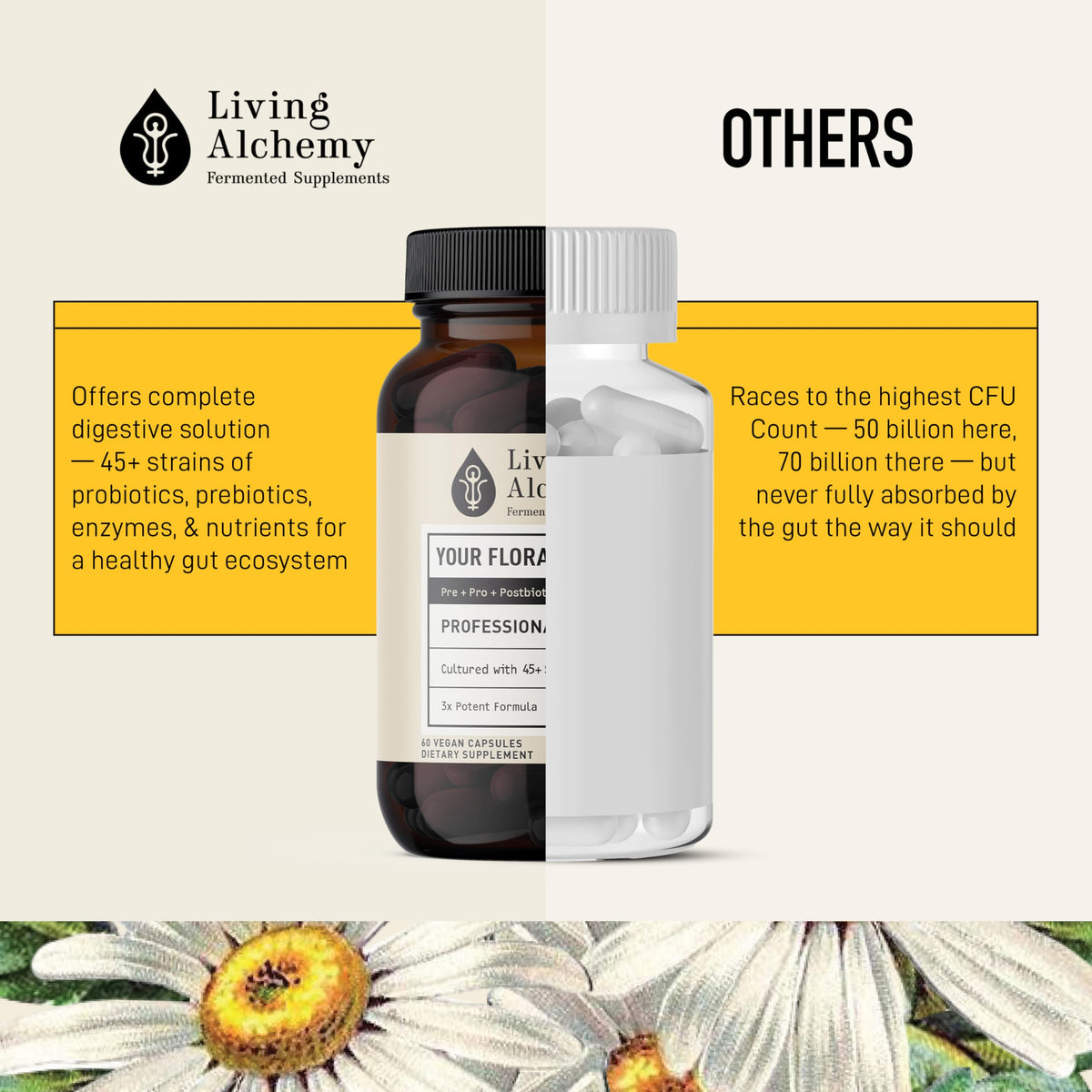 Living Alchemy Gut Health Supplements for Men & Women - Your Flora Probiotic Professional Digestion Supplement with Fermented Soybean, Prebiotics, Living Alchemy