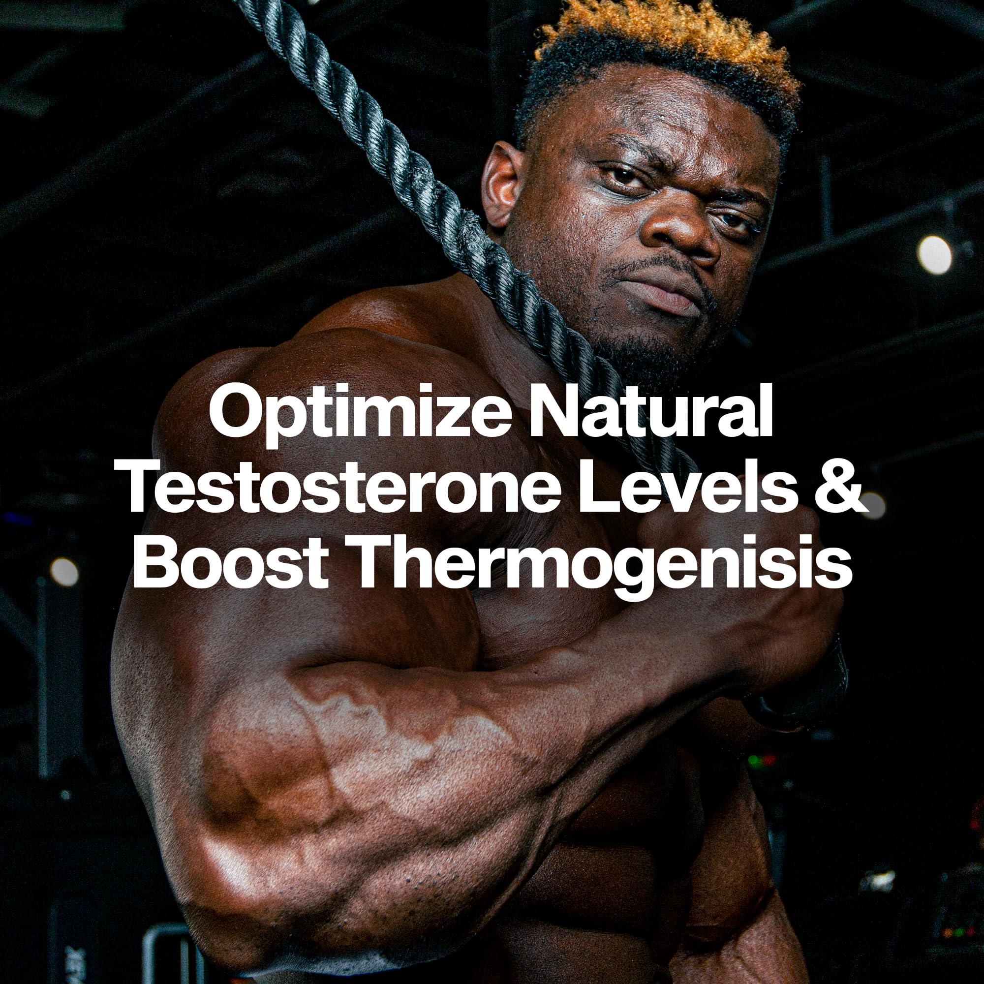 MuscleTech Thermogenic Booster for Men, AlphaTest Thermo - T-Boost Mens Supplement with Tribulus Terrestris - Male Gym Workout Supplements for Muscle Growth MuscleTech buy australia supplements