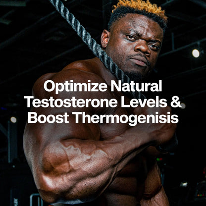 MuscleTech Thermogenic Booster for Men, AlphaTest Thermo - T-Boost Mens Supplement with Tribulus Terrestris - Male Gym Workout Supplements for Muscle Growth MuscleTech
