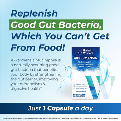 Herbal Wisdom Akkermansia Probiotic 10 Billion CFU - Advanced Support, Probiotic+Prebiotic | for Gut & Metabolism Support - No Bloating | with Inulin & Triphala Herbal Wisdom