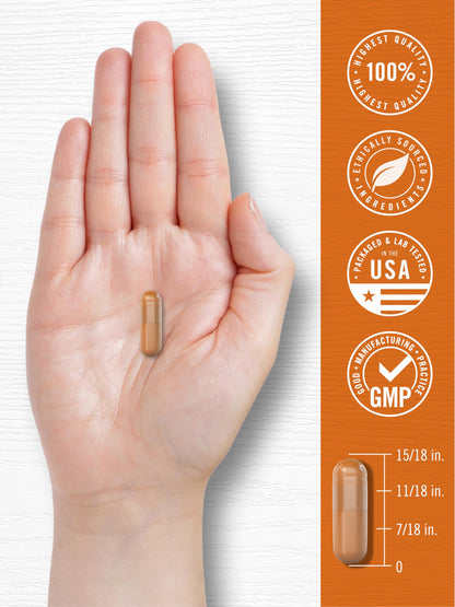 Carlyle Turmeric Curcumin with Black Pepper | 90 Powder Capsules | Complex Supplement with Bioperine | Non-GMO, Gluten Free Carlyle