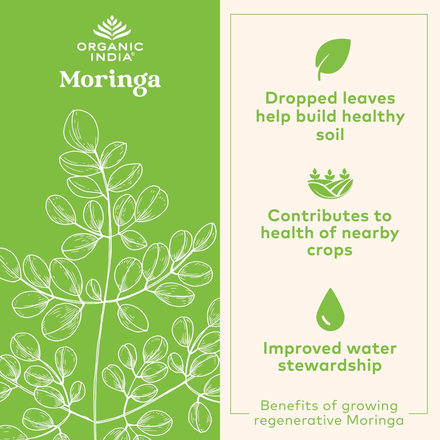 ORGANIC INDIA Moringa Herbal Supplement - Green Superfood, Nutrient Dense, Pure Plant Protein, Vitamin A, E, K, Iron, Calcium, Fiber, Vegan ORGANIC INDIA