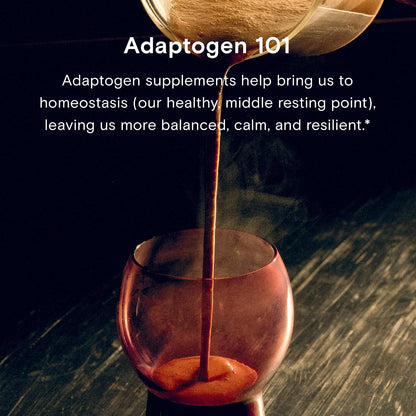 Moon Juice Organic Ashwagandha Supplement - Ashwagandha KSM-66 Root Powder Extract (15:1 Full-Spectrum) for Stress, Focus & Mood - Vegan, Non-GMO, Gluten-Free - 1.3 oz, 72 Servings