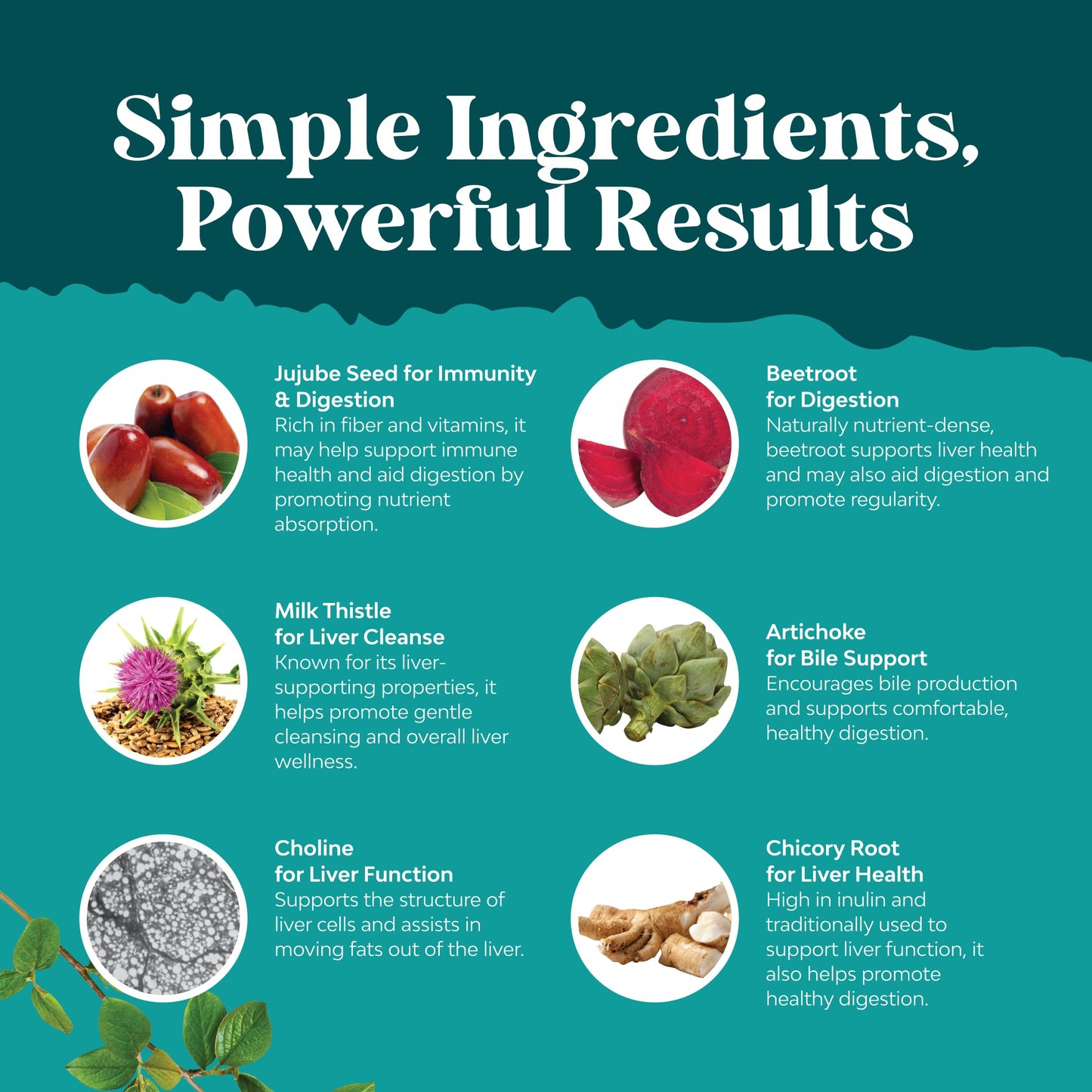 Best Liver Supplements with Milk Thistle - Artichoke - Dandelion Root Support Healthy Liver Function for Men and Women Natural Detox Cleanse Capsules Boost Immune System Relief - Natures Craft | Herbal Detox Support with Ginger, Beetroot & Artichoke - Ber Gsupps Australia