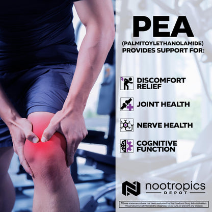 Nootropics Depot Palmitoylethanolamide (Pea) 400mg Capsules | Micronized Pea | Joint, Nerve, & Cellular Support | Daily Comfort | High Purity | Supplement for Women and Men | 60ct