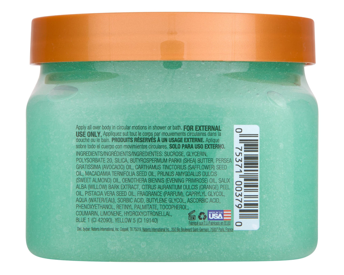 Tree Hut Shea Sugar Scrub, Aurora Nights, 18 oz Tree Hut