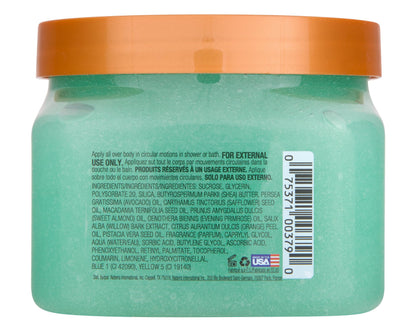 Tree Hut Shea Sugar Scrub, Aurora Nights, 18 oz Tree Hut