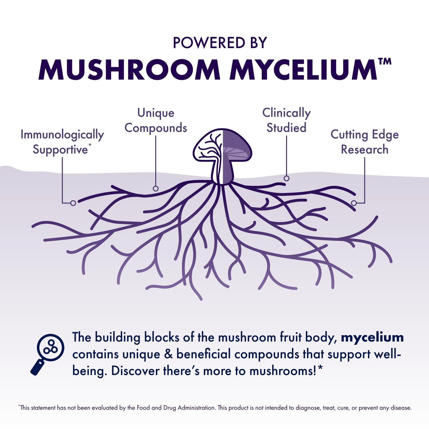 Host Defense Mushrooms Lion's Mane - Supplement Capsules for Brain Health Support - Mushroom Support for Focus & Memory Function Host Defense