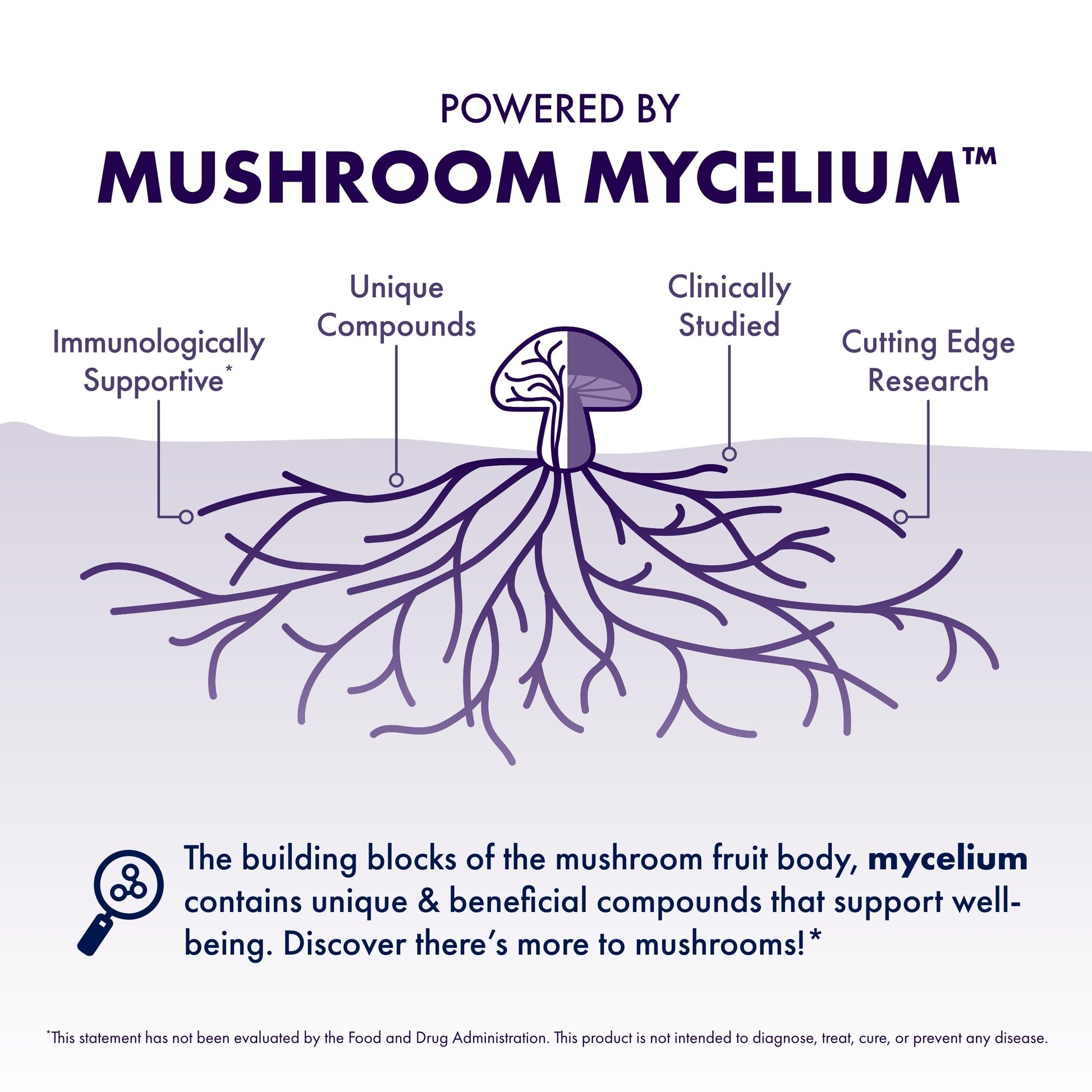 Host Defense Mushrooms Lion's Mane - Supplement Capsules for Brain Health Support - Mushroom Support for Focus & Memory Function Host Defense