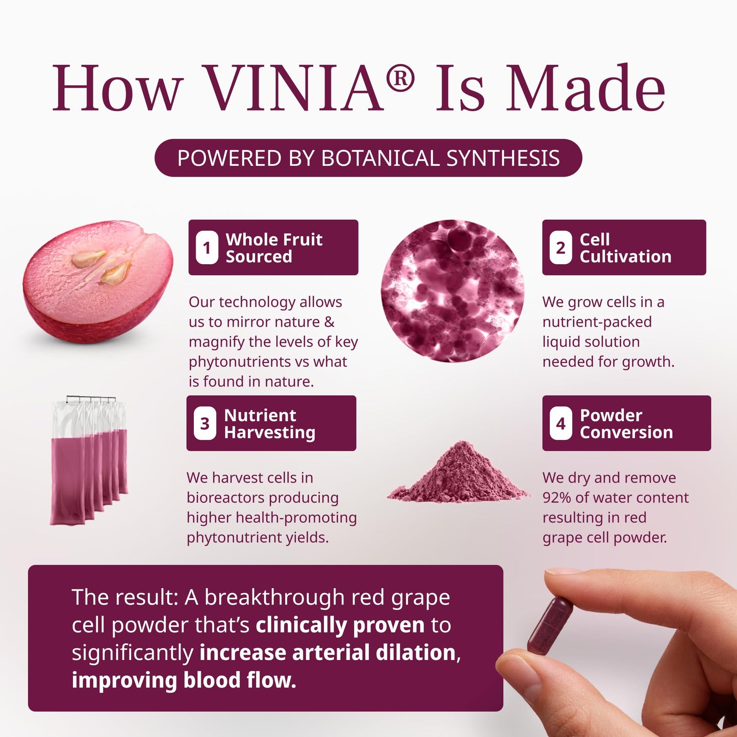 VINIA Piceid Resveratrol Supplement Capsules. Increases Blood Flow and Nitric Oxide. Blood Pressure and Heart Health Support VINIA