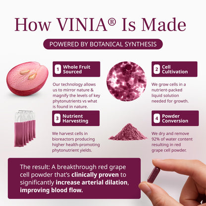 VINIA Piceid Resveratrol Supplement Capsules. Increases Blood Flow and Nitric Oxide. Blood Pressure and Heart Health Support VINIA