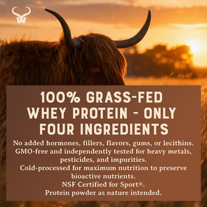100% Grass Fed Whey Chocolate Protein Powder – Only Four Ingrediants, Absolutely Nothing Artificial – 25g of Grass Fed Whey Protein Per Serving – Clean Post Workout Recovery Powder – 2.84 lbs