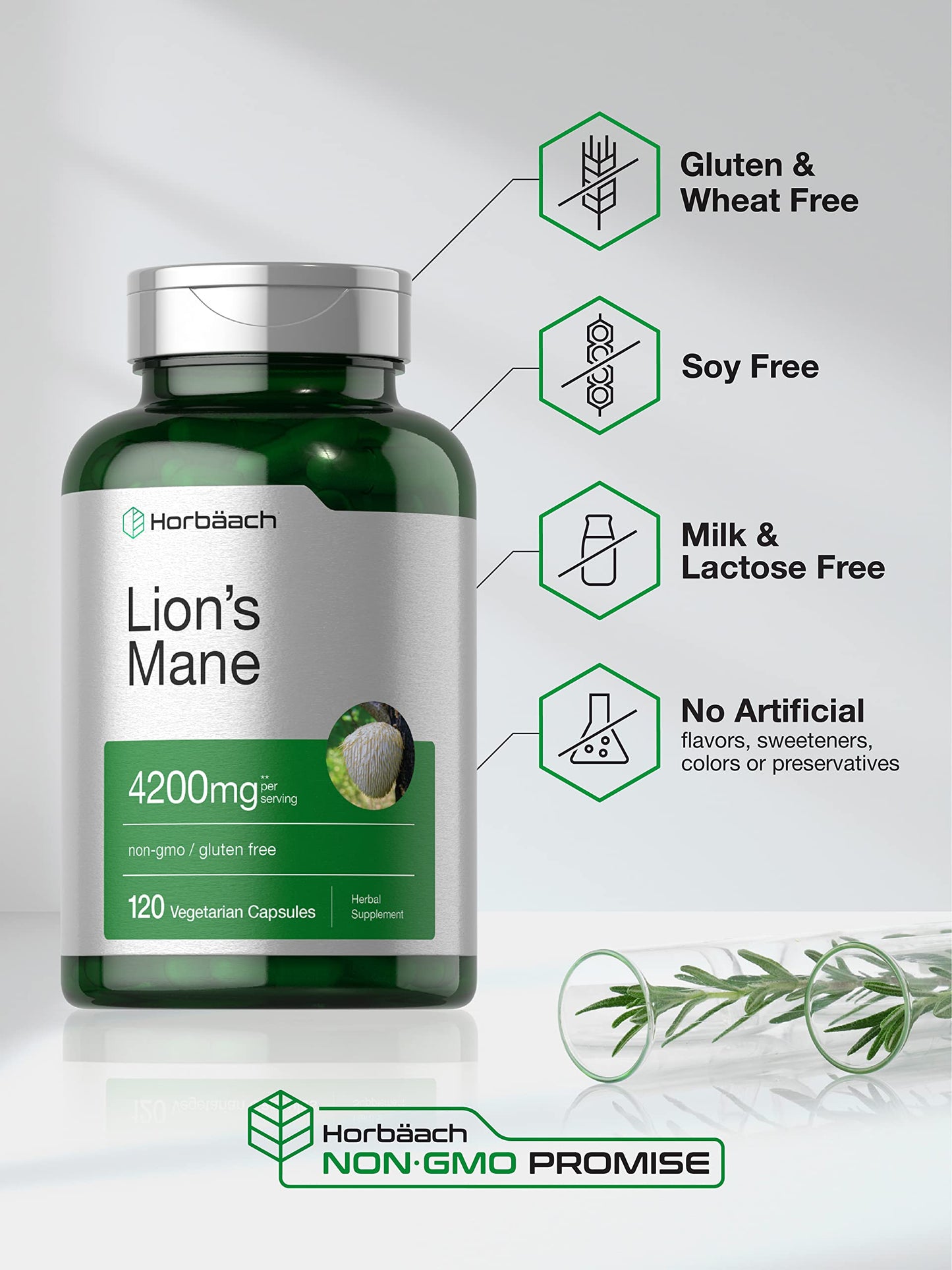 Horbäach Lions Mane Mushroom Extract | 120 Capsules | Vegetarian, Non-GMO, Gluten Free Supplement Horbäach