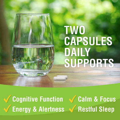 Magtein - Magnesium L-Threonate Supplement, Memory, Focus, Sleep & Brain Health Formula for Men & Women, Cognitive Support for Adults Magtein