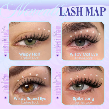 Lash Clusters Kit Wispy Natural Cluster Eyelash Extension Kit DIY Lash Extension Kit C-curly 10-16MM Eyelash Clusters Volume Individual Lashes Kit by Newcally Newcally
